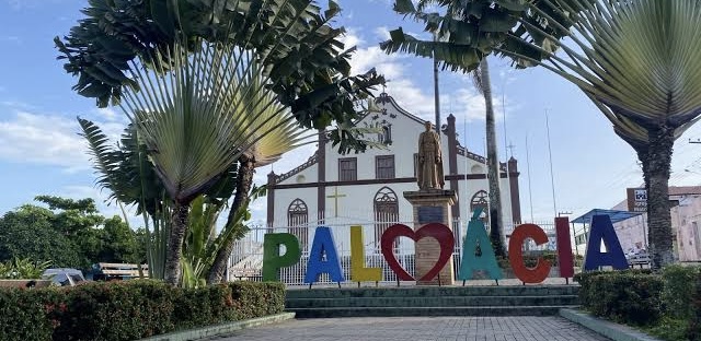 Palmácia